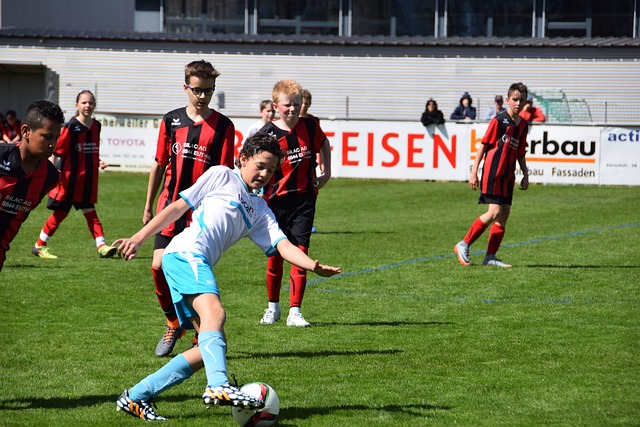 在这场精彩 在这场精彩