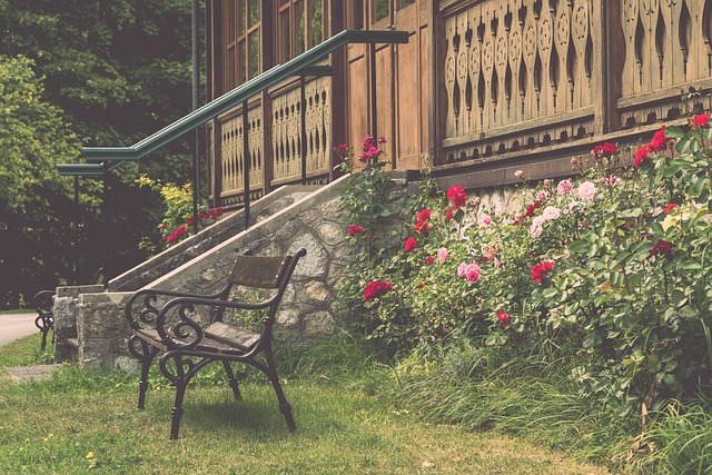 案中不可或 案中不可或