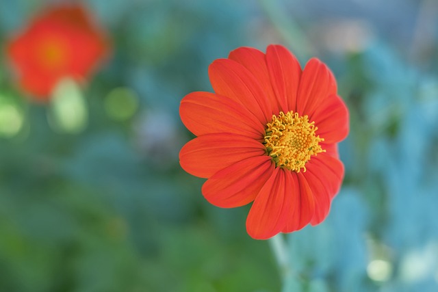 康宁汉姆的 康宁汉姆的