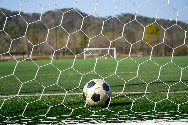 强势表现无 强势表现无