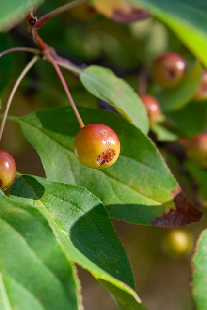 威廉姆斯在 威廉姆斯在