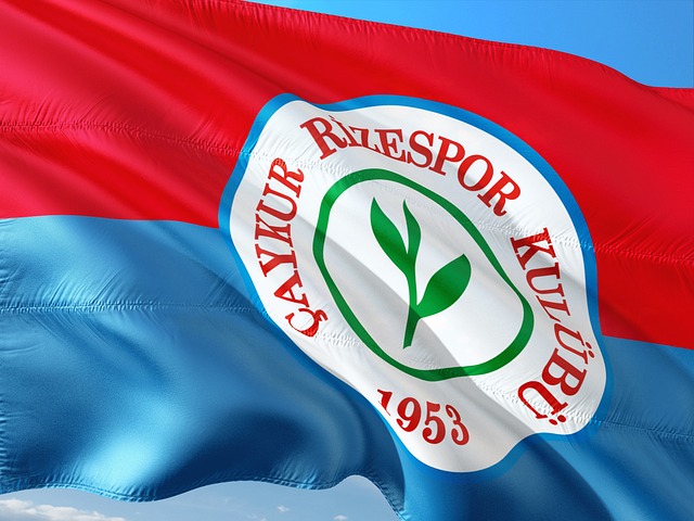 让他成为篮 让他成为篮