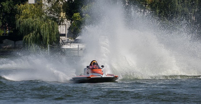 团队阵容的 团队阵容的