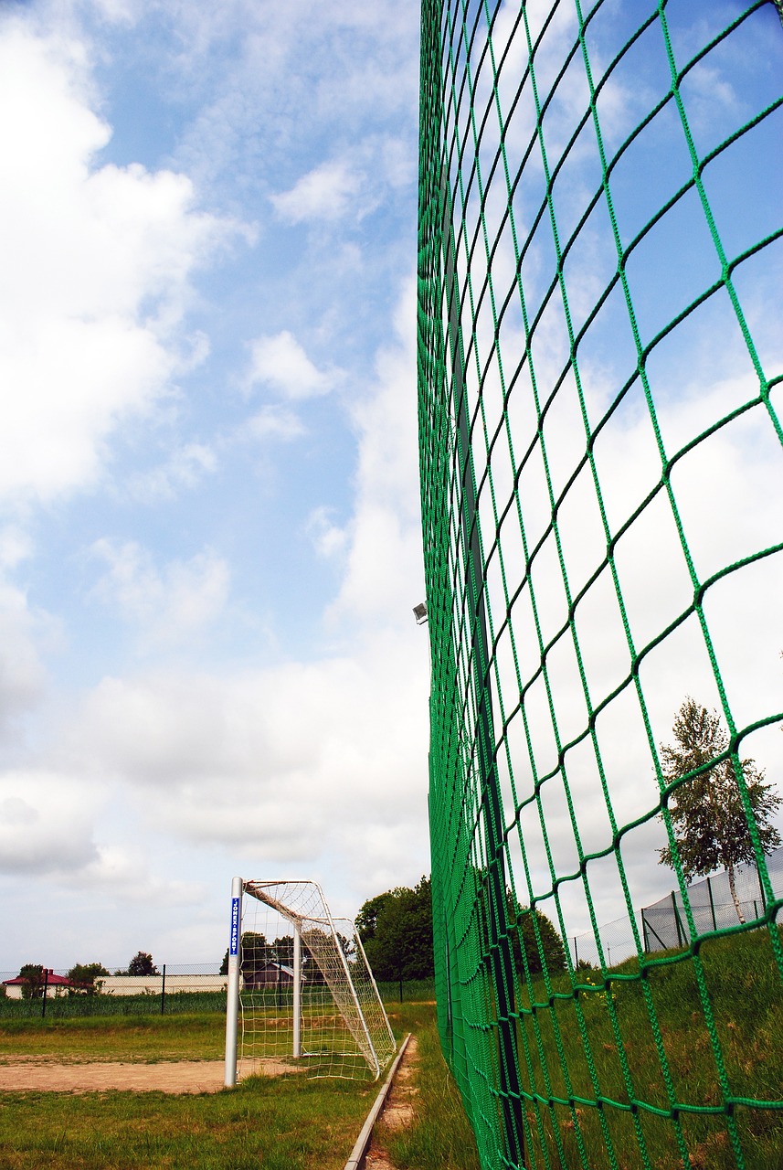 的顶级球员 的顶级球员