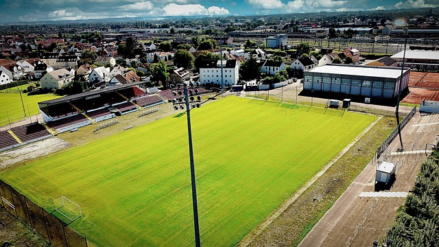 这些计划的 这些计划的